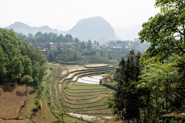 Mu Cang Chai
