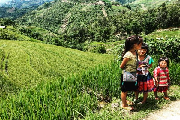 Sapa
