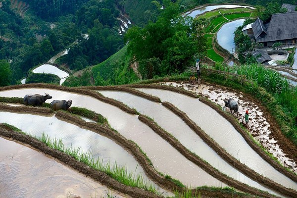 Ha Giang