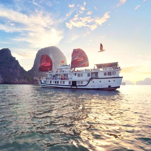 Renea Cruises