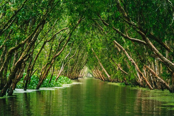 09 wichtige Reisetipps für Mekong Delta Rundreise