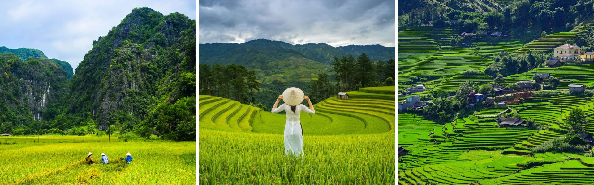 05 beste Reisterrassen Vietnam für Ihre schöne Reise