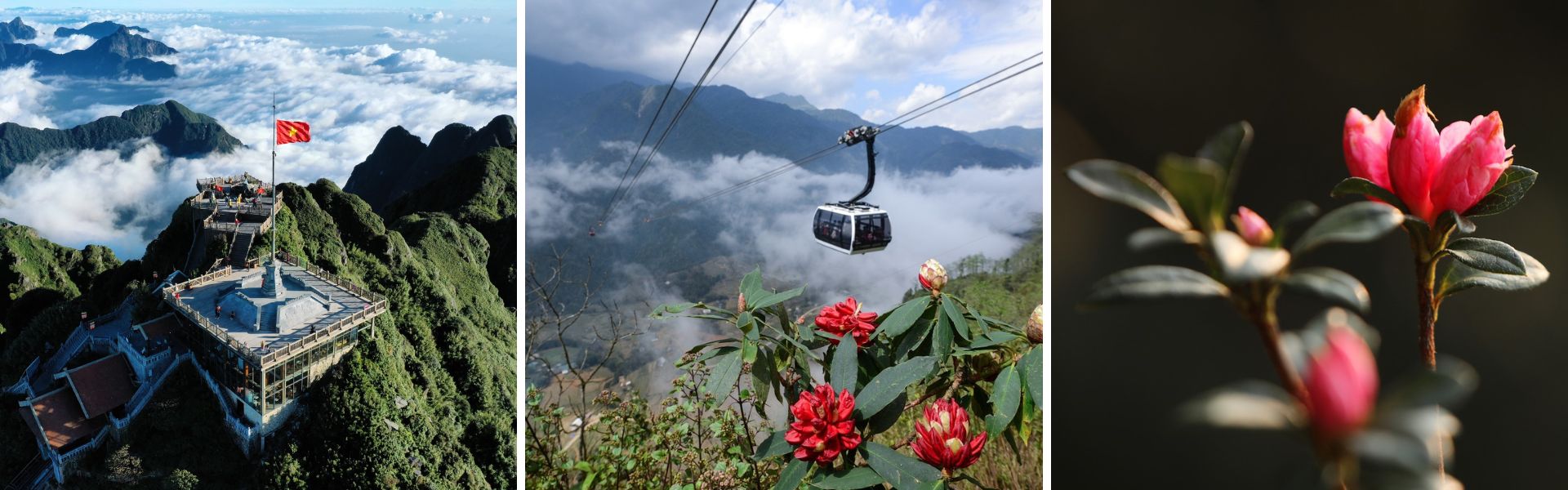 April – Die Zeit des Azaleenfestivals 2018 in Vietnam