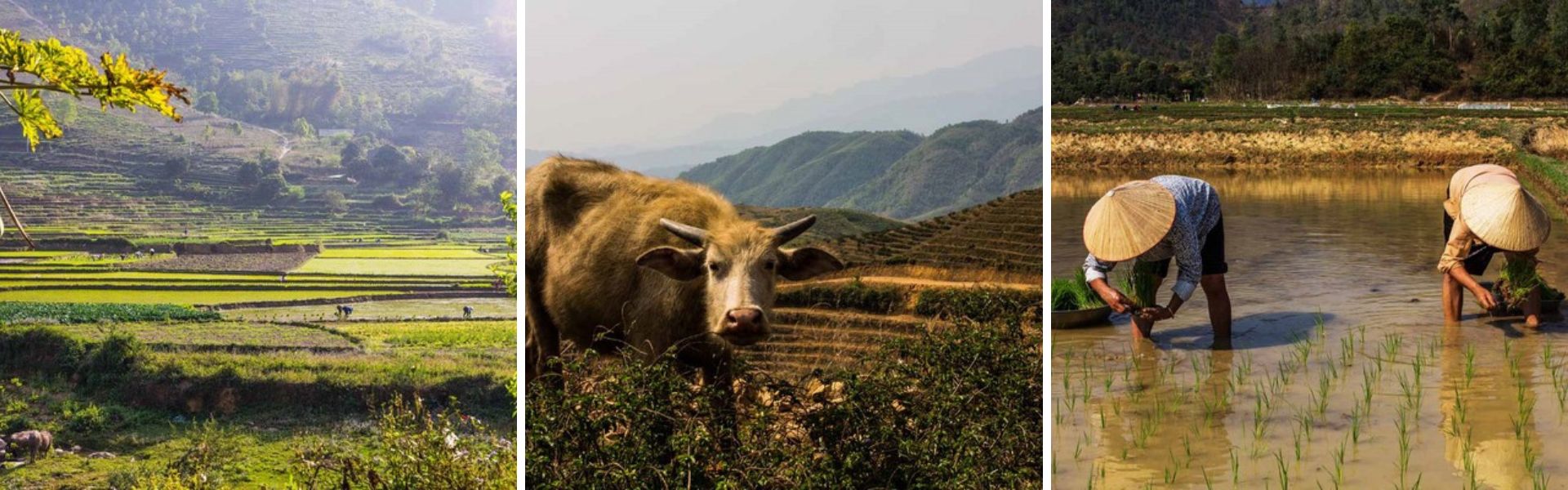 Nachhaltig reisen: 09 Tipps für eine umweltfreundliche Reise in Vietnam