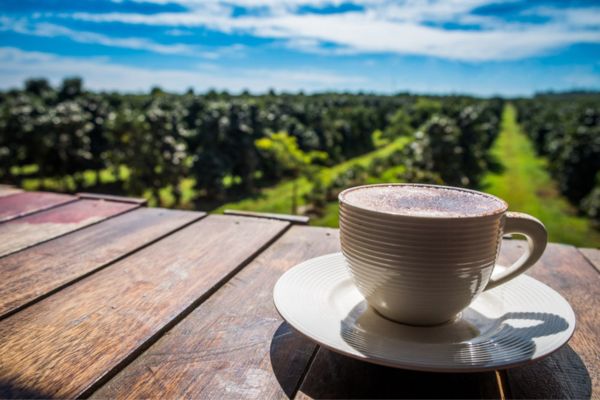 Laos Kaffee