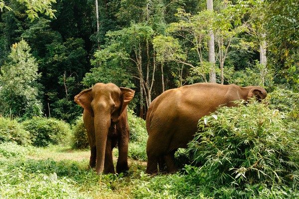 Tag 05: Mondulkiri