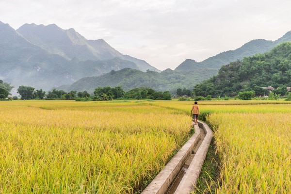 Tag 04: Mai Chau