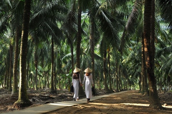 Tag 16: Saigon - Ben Tre - Long Xuyen