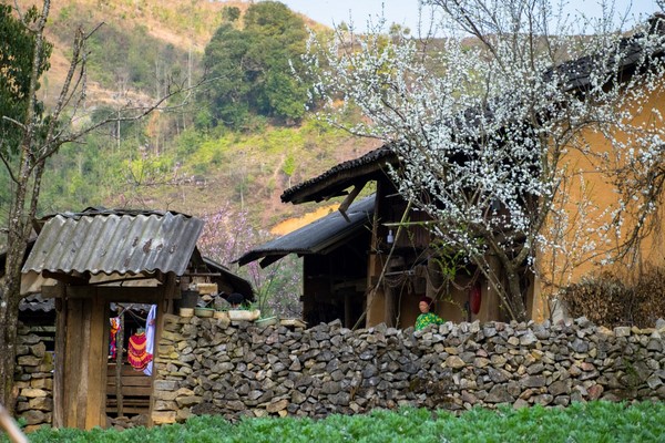 Tag 04: Ha Giang - Dong Van