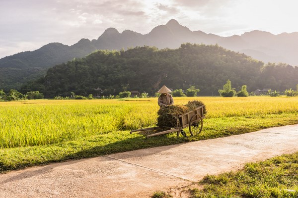 Tag 06: Mai Chau