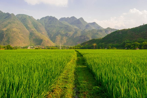 Tag 03: Hanoi - Mai Chau