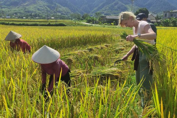 Tag 04: Ninh Binh - Pu Luong