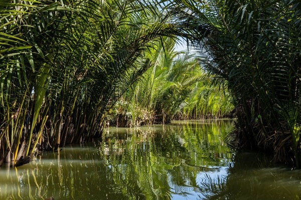 Tag 07: Hoi An - Fischerei Tour