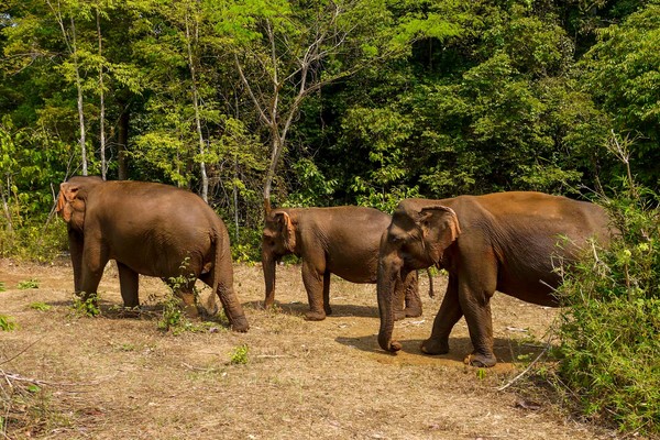 Tag 04: Kampong Cham - Mondulkiri