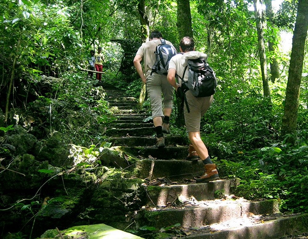 Cuc-Phuong-Nationalpark in Ninh Binh