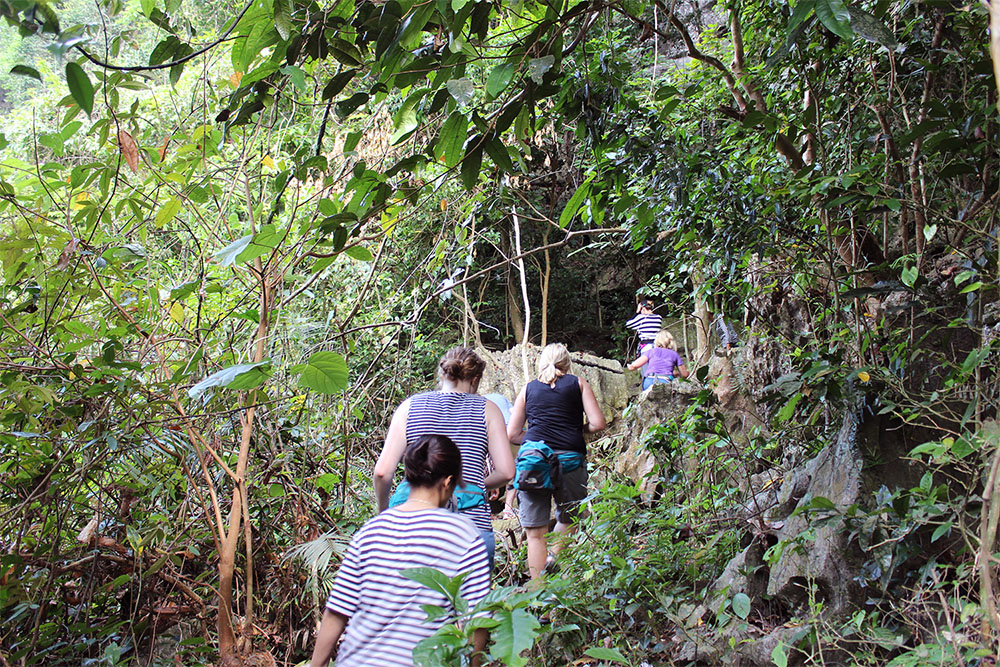 Nationalpark vietnam cat ba