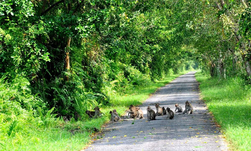 Nationalpark vietnam phu quoc