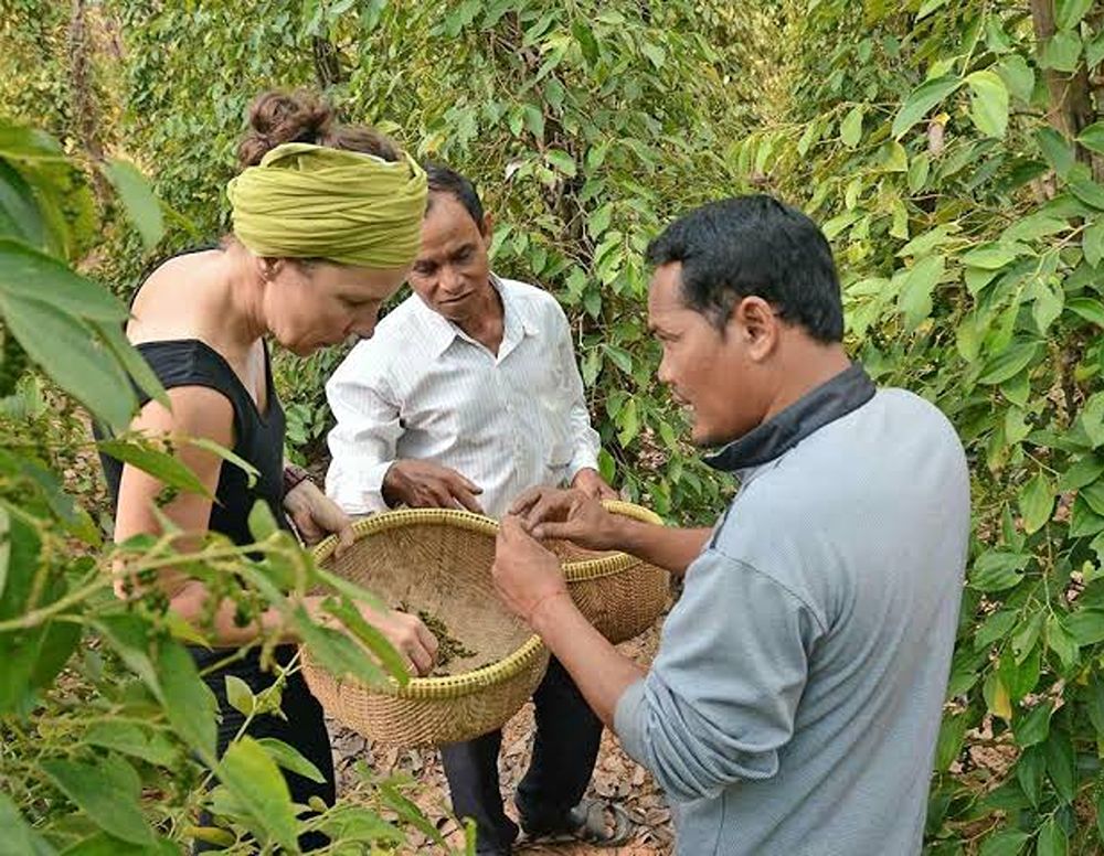 Pfefferfarm auf Phu Quoc