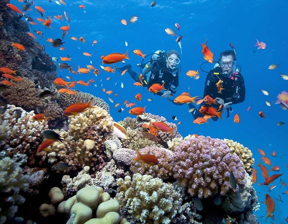 Schnorcheln im klaren Wasser vor Phu Quoc.