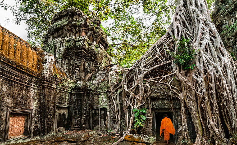 tempel siem reap Ta Prohm