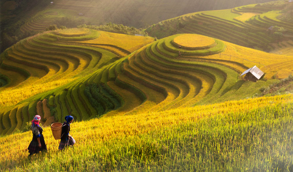 mu cang chai vietnam