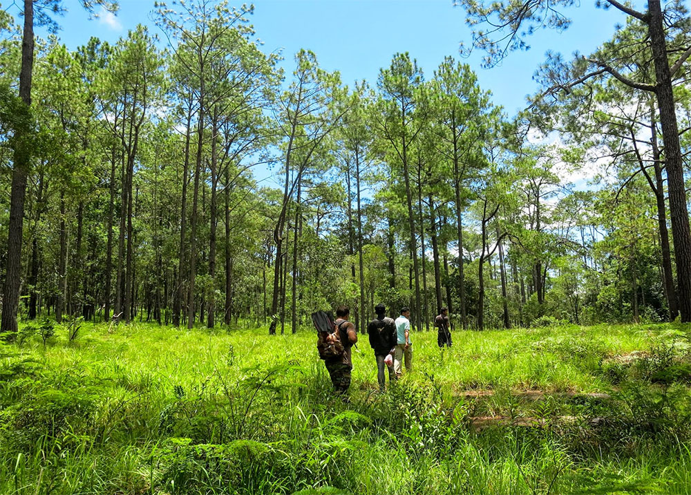 kirirom nationalpark