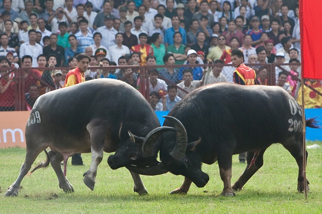 Vietnam Festivals und Veranstaltungen -3