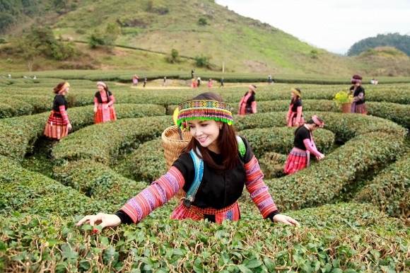 Moc Chau - schönes Hochland in Nordvietnam | Asiatica Travel