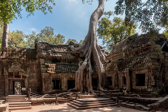 Ta Prohm Tempel Kambodscha Reisen