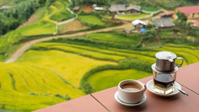 Vietnamesischer Kaffee: Was Sie wissen sollten? -5